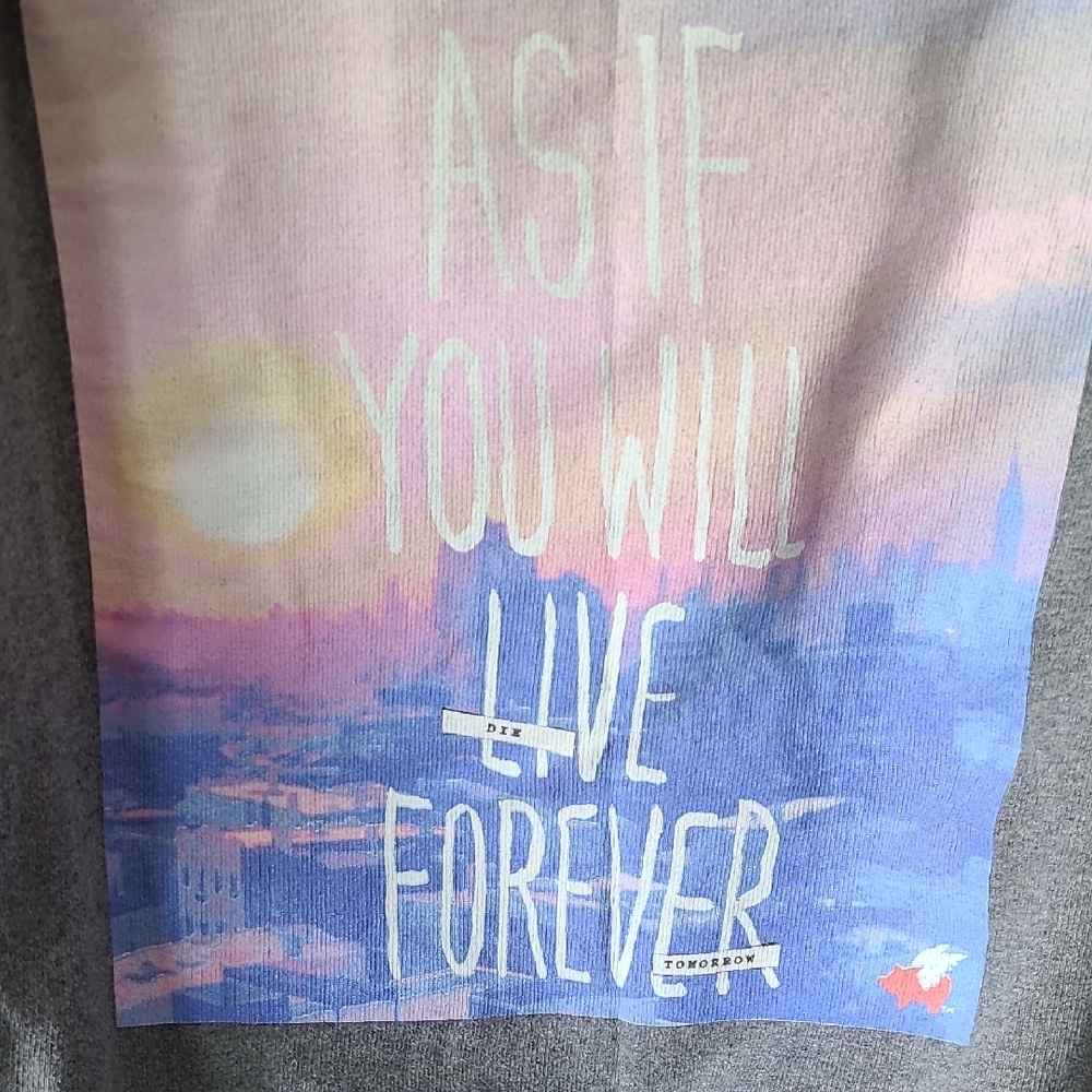 Glamour Kills Gray Crew Neck Sweatershirt Dream As If You Will Live Forever XL - Picture 4 of 10